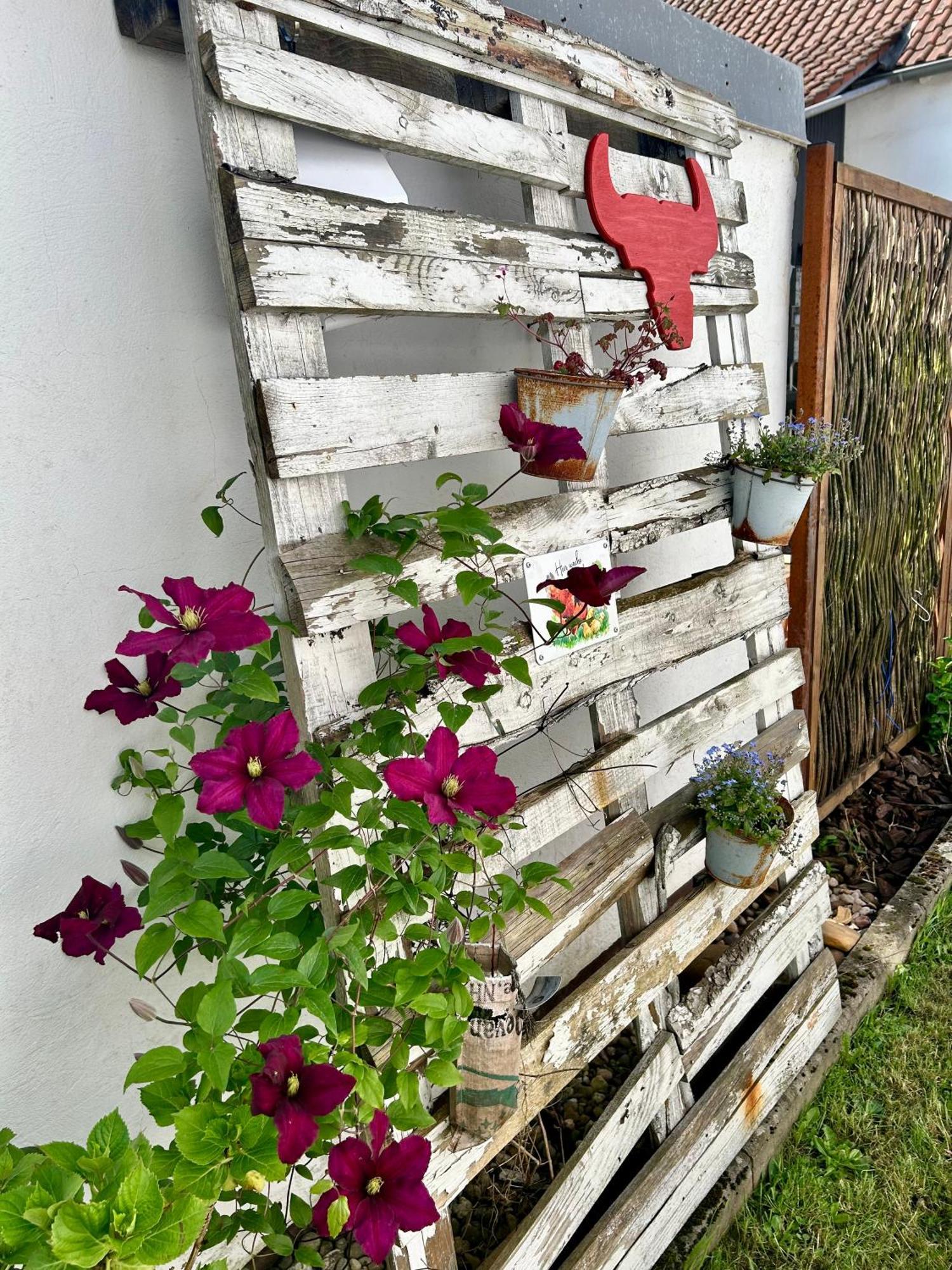 Ferienwohnung Piesbach Nalbach Exteriör bild